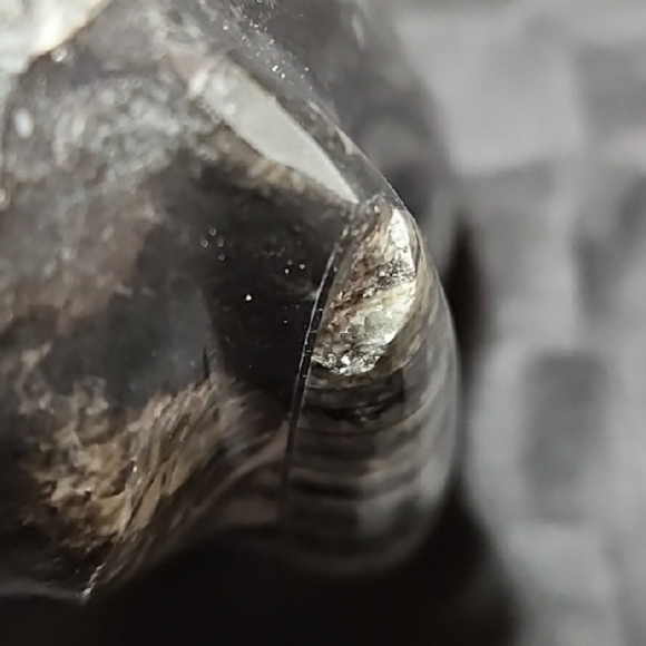 Polished Fossilized Orthoceras Vase - Picture 9 of 13